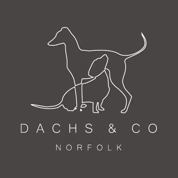d-and-c-logo-charcoal-white-01.webp