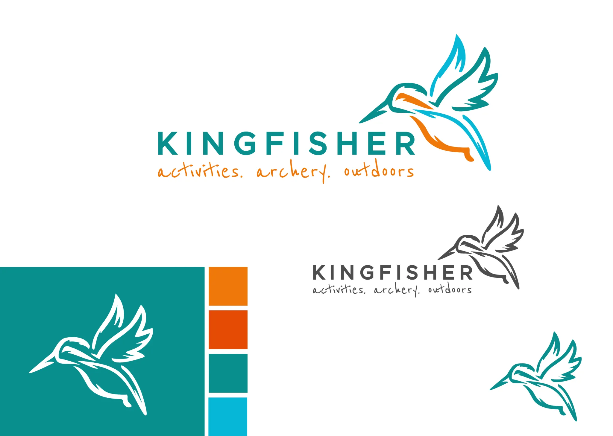 kingfisher-activities-03.webp